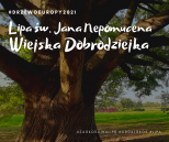 Lipa Sw. Jana Nepomucena