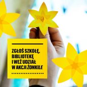Plakat informacyjny Akcja Żonkile